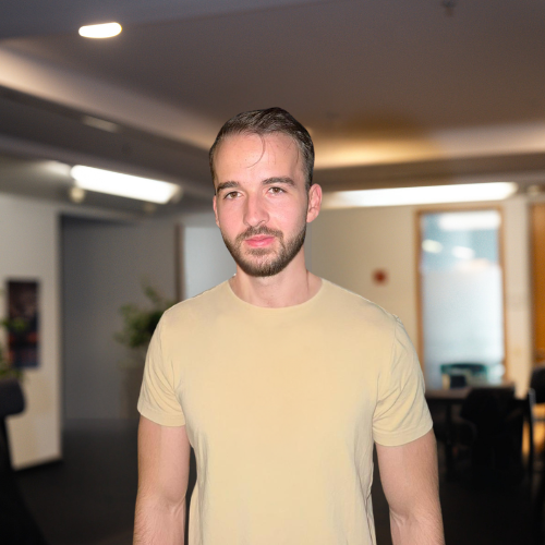 Teodor Moisa — Automatisierungsexperte